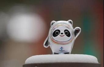 “冰墩墩”、、、“雪容融”商标也抢手，，已被成功注册！！！！
